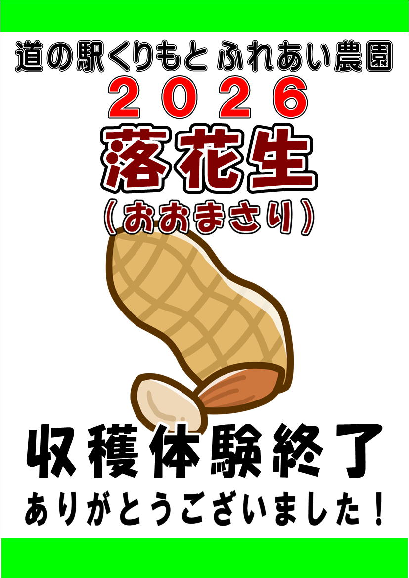 収穫体験”落花生（おおまさり）”終了